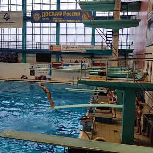 Первенство Воронежской области по прыжкам в воду «А, В, С, Д, Е»