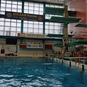 Первенство Воронежской области по прыжкам в воду «А, В, С, Д, Е»