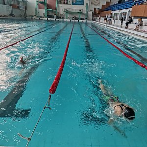 Первенство школы плавания ProSwim