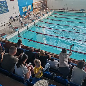 Первенство школы плавания ProSwim